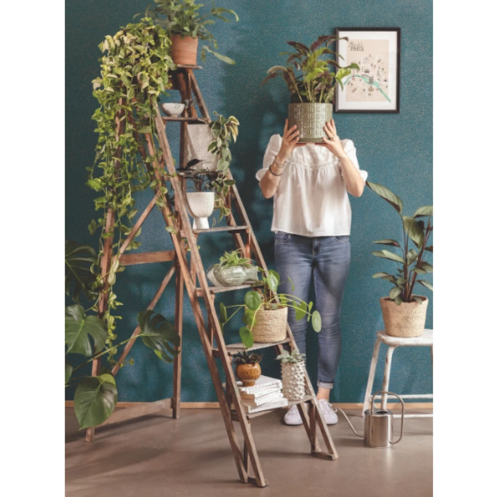 Imagen de PAPEL CASELIO GREEN LIFE 2