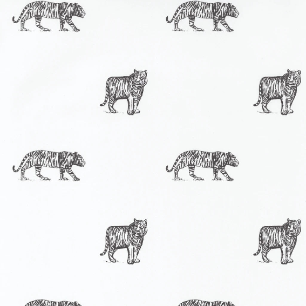 Imagen de PAPEL CASELIO OUR PLANET