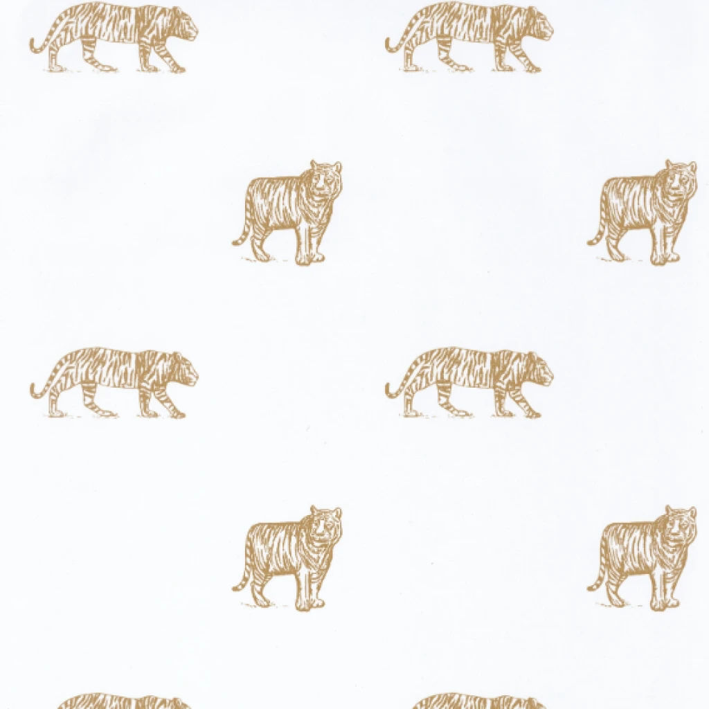 Imagen de PAPEL CASELIO OUR PLANET