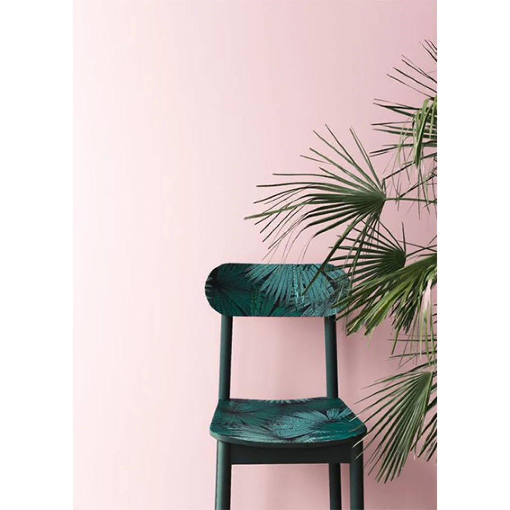 Imagen de Colección Jungle Ref. 100047818 [Preventa 30 días]