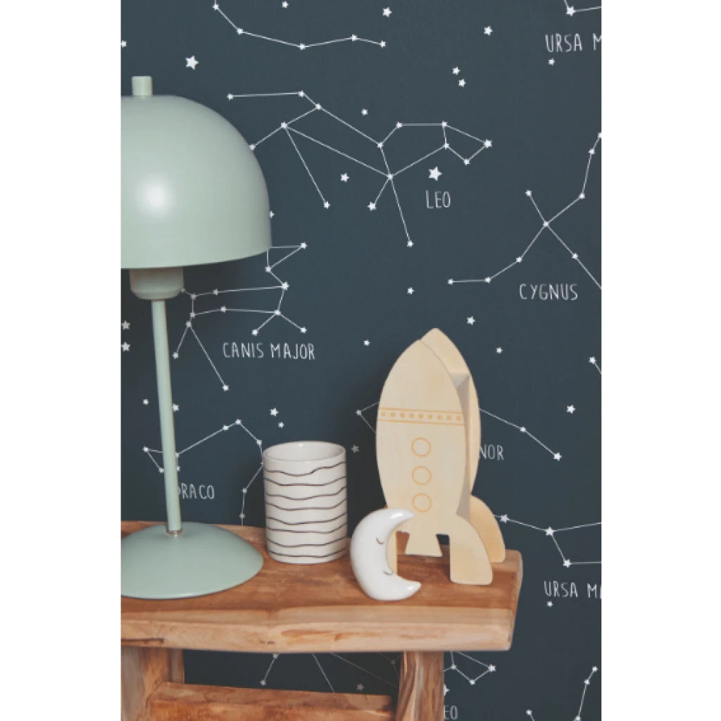 Imagen de PAPEL CASELIO OUR PLANET