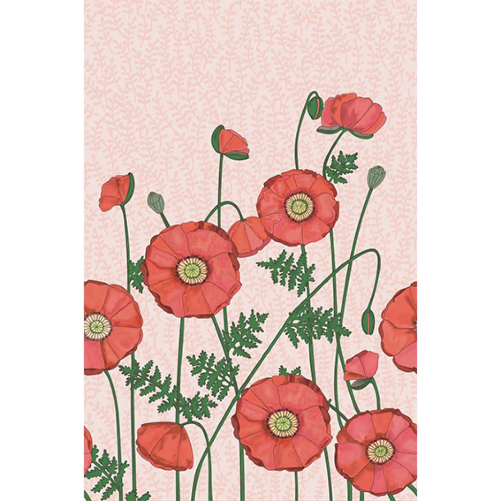Imagen de Colección Rice II Ref. 383609 [Preventa 30 días]