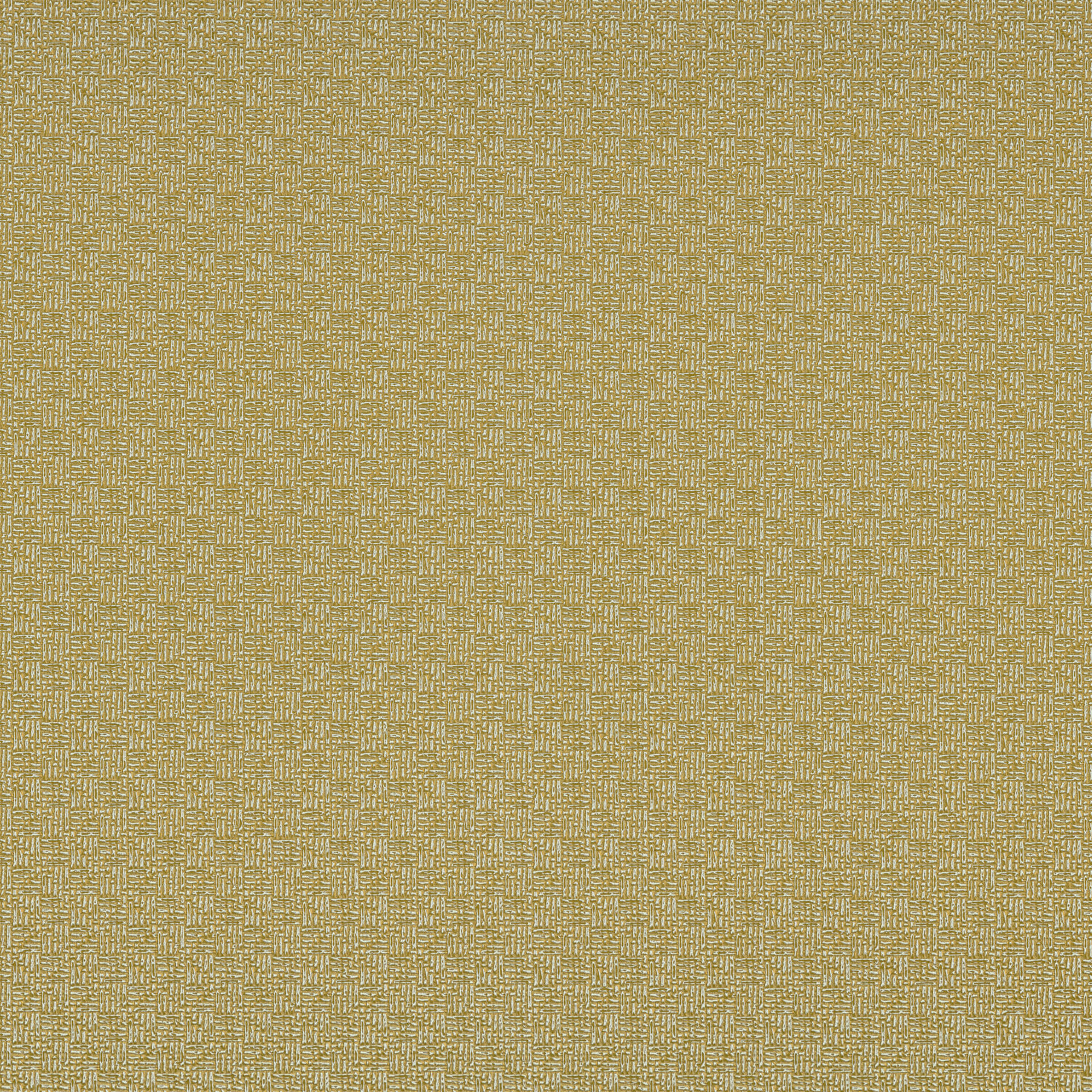 75331732