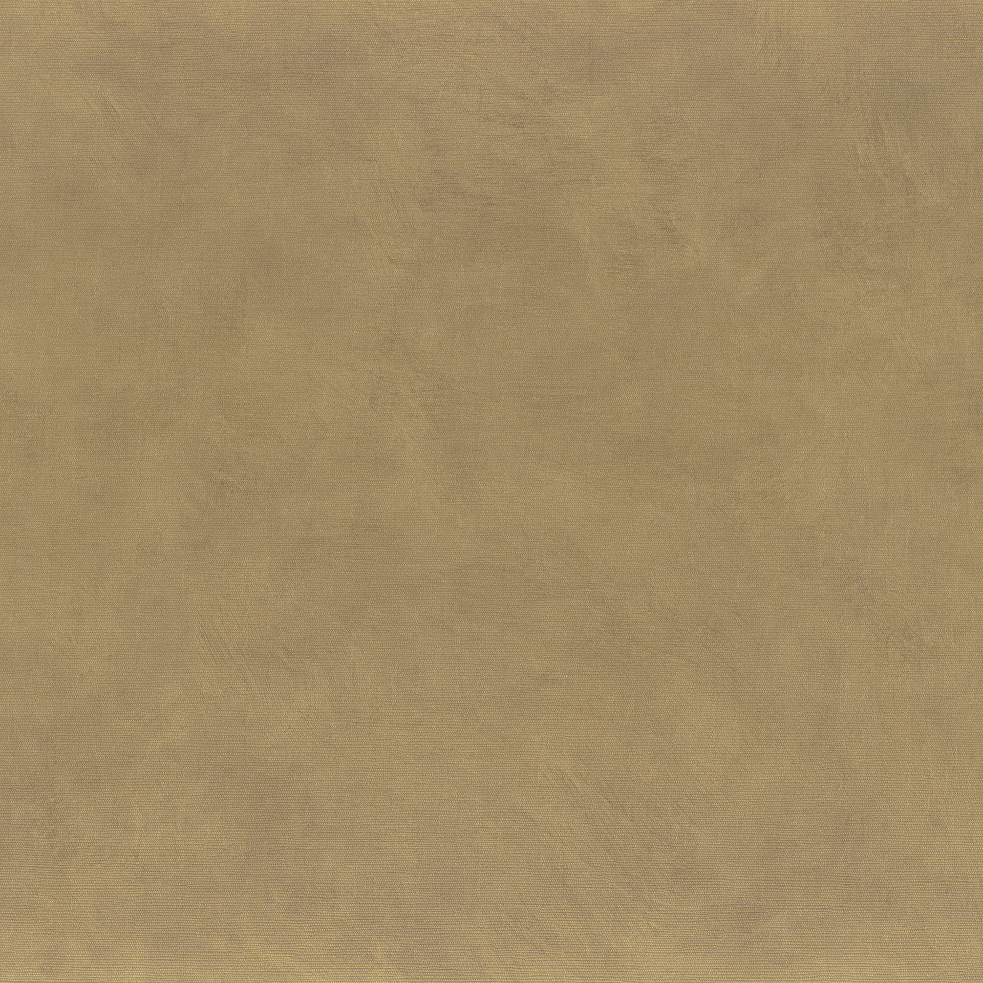 75491732