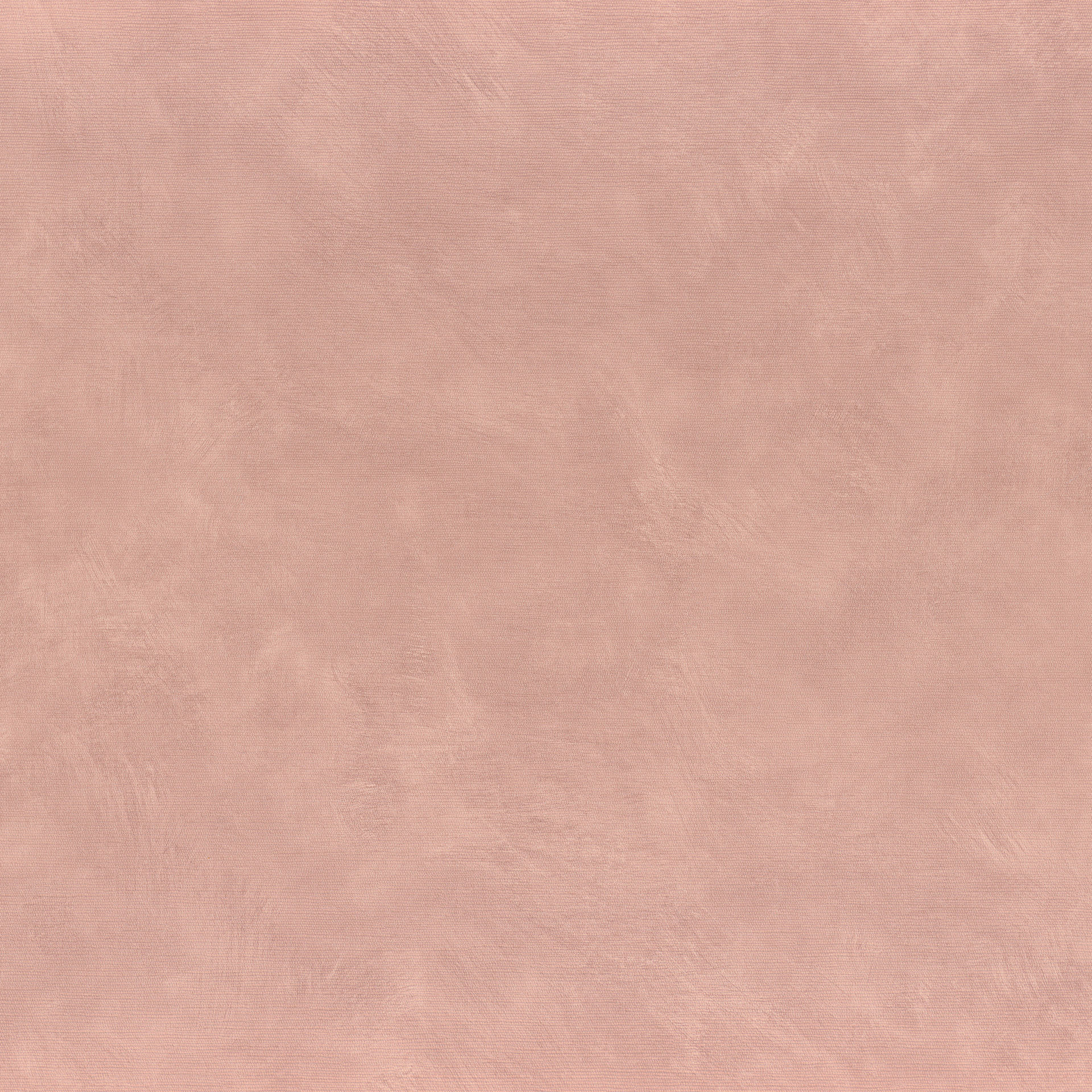 75492446