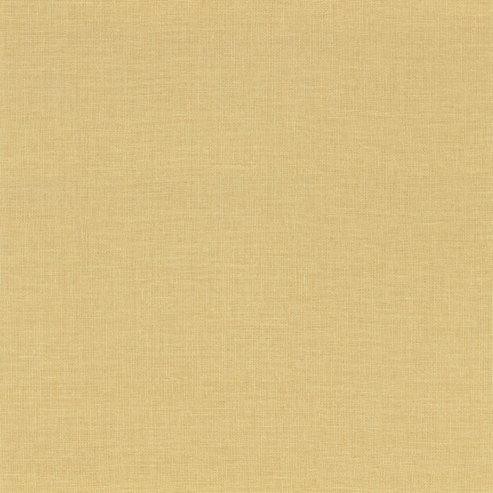 76333058