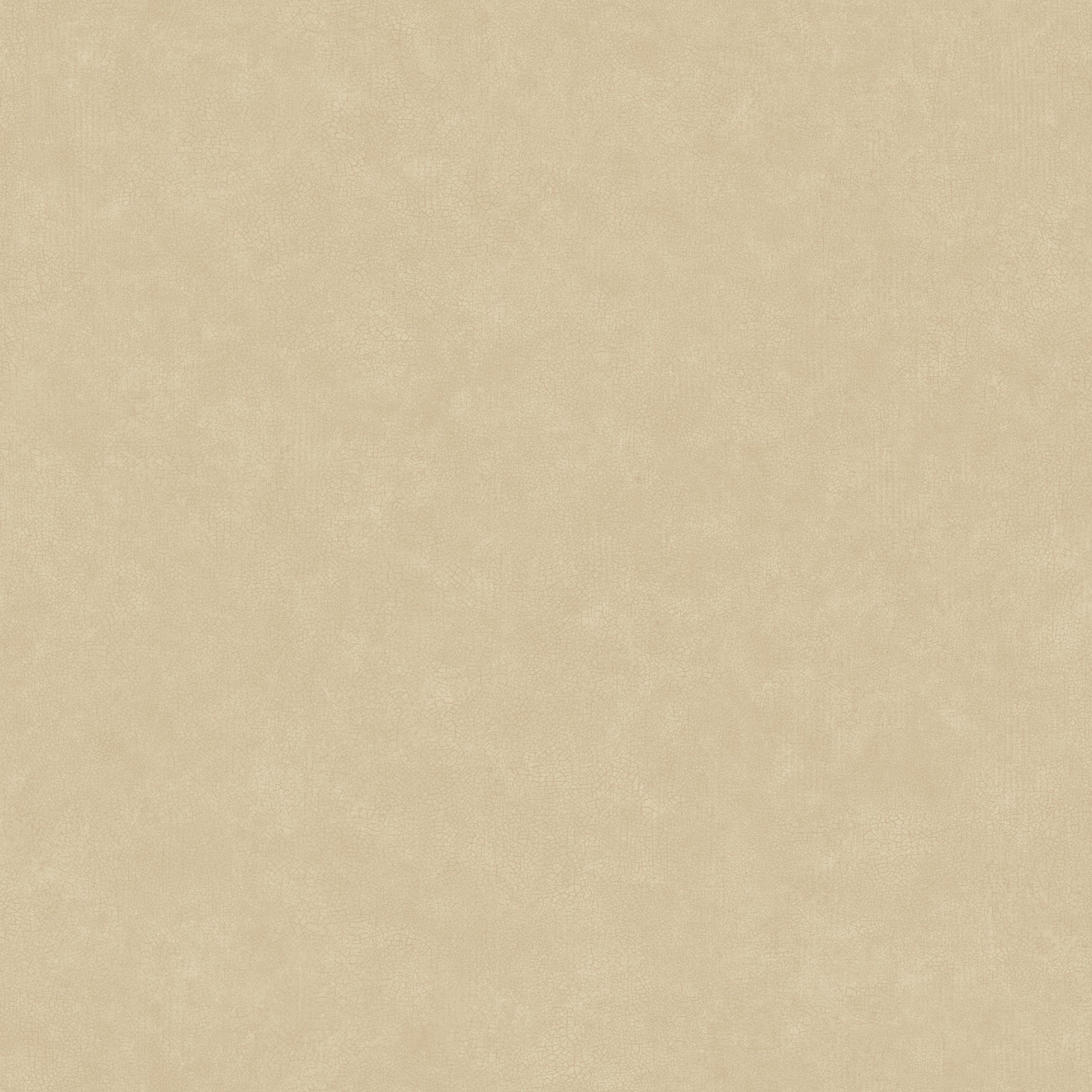 105241223