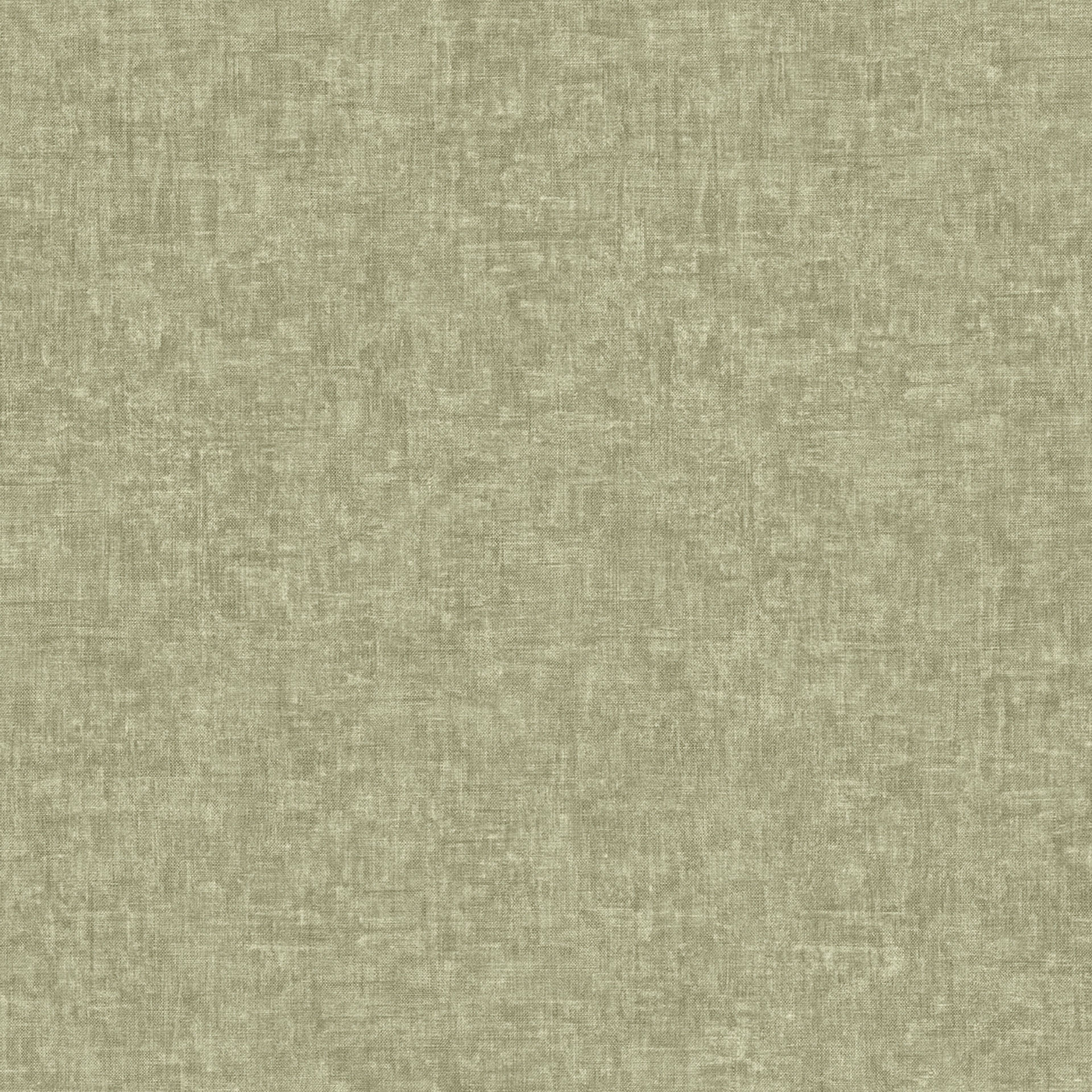 81911192