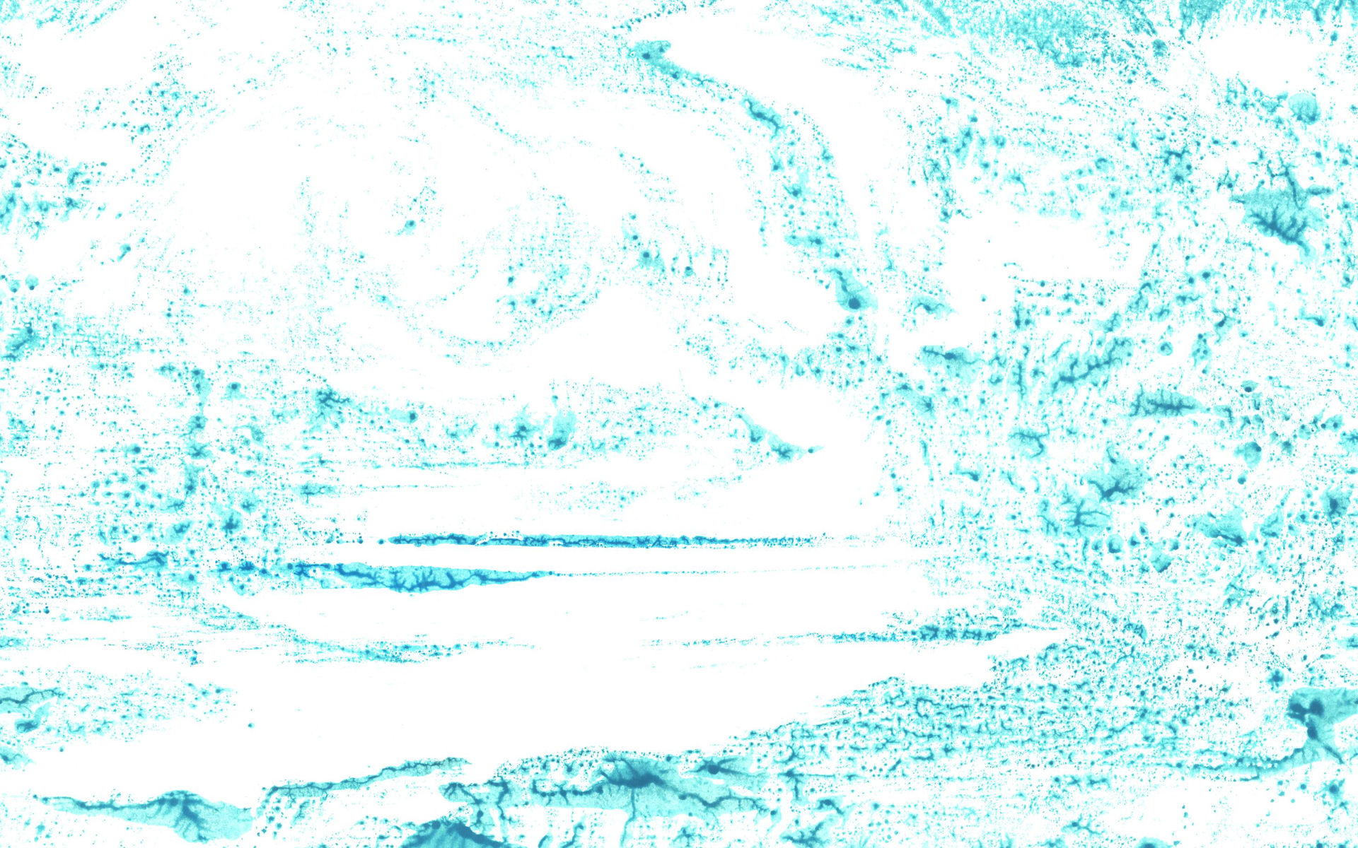 88896110