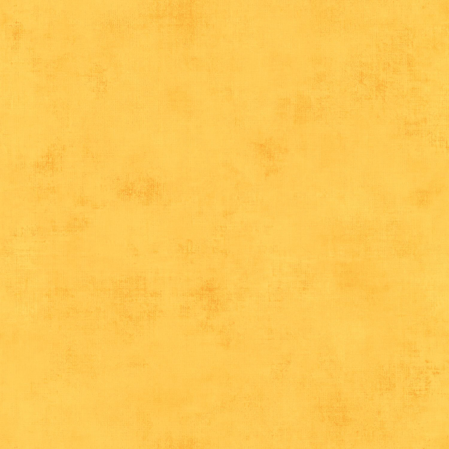 69872450